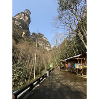 Picture China Zhangjiajie Tianzi Mountrain 2026-01 80 - Saving Tianzi Mountrain
