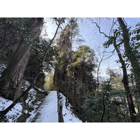 Picture China Zhangjiajie Tianzi Mountrain 2026-01 348 - Spring Tianzi Mountrain