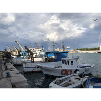 Picture Italy Trani 2024-09 77 - Monuments Trani