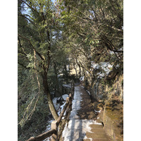 Picture China Zhangjiajie Tianzi Mountrain 2026-01 119 - Savings Tianzi Mountrain