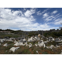 Picture China Shilin Stone Forest 2026-01 371 - Saving Shilin Stone Forest