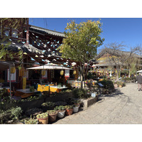 Picture China Lijiang 2026-01 506 - Hot Season Lijiang