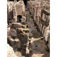 Picture Italy Rome The Colosseum 2024-09 0 - Street The Colosseum