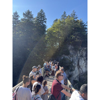 Picture Germany Neuschwanstein 2025-09 84 - Summer Neuschwanstein
