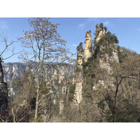 Picture China Zhangjiajie Tianzi Mountrain 2026-01 242 - Savings Tianzi Mountrain