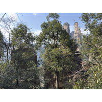 Picture China Zhangjiajie Tianzi Mountrain 2026-01 120 - Sunrise Tianzi Mountrain
