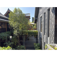Picture Thailand Chiang Mai Kalm 2024-12 58 - Summer Kalm