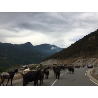 Picture France Corsica Valle d'alesani 2017-07 1 - Spring Valle d'alesani