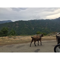Picture France Corsica Valle d'alesani 2017-07 9 - City Sight Valle d'alesani