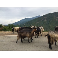 Picture France Corsica Valle d'alesani 2017-07 11 - Transport Valle d'alesani