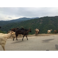 Picture France Corsica Valle d'alesani 2017-07 13 - City Valle d'alesani