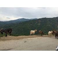 Picture France Corsica Valle d'alesani 2017-07 4 - Lakes Valle d'alesani
