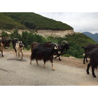 Picture France Corsica Valle d'alesani 2017-07 0 - Monument Valle d'alesani