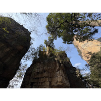 Picture China Zhangjiajie Tianzi Mountrain 2026-01 12 - Price Tianzi Mountrain