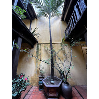 Picture Vietnam Hanoi Heritage House 2024-01 27 - Saving Heritage House