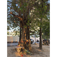 Picture Thailand Pattaya Dongtan beach 2025-12 32 - Weather Dongtan beach