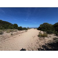 Picture France Corsica Ovu Santu Beach⁩ 2024-05 12 - Hotel Pool Ovu Santu Beach⁩