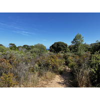 Picture France Corsica Ovu Santu Beach⁩ 2024-05 7 - Street Ovu Santu Beach⁩
