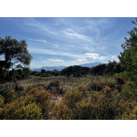 Picture France Corsica Ovu Santu Beach⁩ 2024-05 9 - Hotels Ovu Santu Beach⁩