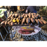 Picture Thailand Chiang Mai Nong Buak Haad Public Park 2024-01 3 - To see Nong Buak Haad Public Park