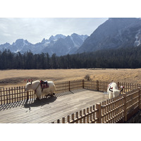 Picture China Lijiang Blue moon valley 2026-01 61 - Price Blue moon valley