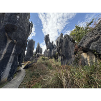 Picture China Shilin Stone Forest 2026-01 162 - Rental Shilin Stone Forest