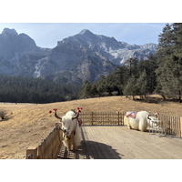 Picture China Lijiang Blue moon valley 2026-01 93 - Transport Blue moon valley