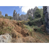 Picture China Shilin Stone Forest 2026-01 240 - Night Shilin Stone Forest