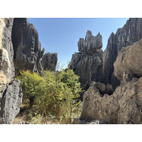 Picture China Shilin Stone Forest 2026-01 35 - Lakes Shilin Stone Forest