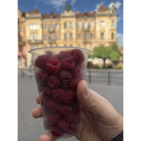 Picture Ukraine Lviv Restaurants 2024-10 156 - Rooms Restaurants