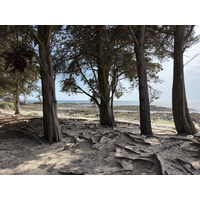 Picture France La Trinite-sur-Mer 2026-04 19 - Monument La Trinite-sur-Mer