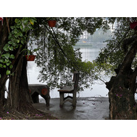 Picture Vietnam Hanoi Tay Lake 2024-01 12 - Saving Tay Lake