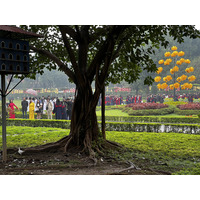 Picture Vietnam Hanoi Thang Long Citadel 2024-01 31 - Price Thang Long Citadel