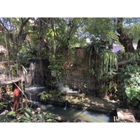 Picture Thailand Chiang Mai Faces restaurent 2026-01 10 - French Restaurant Faces restaurent