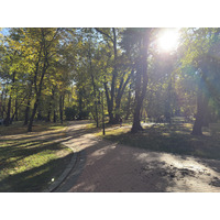 Picture Ukraine Lviv 2024-10 283 - Accomodation Lviv