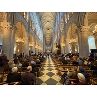 Picture France Paris Notre Dame 2025-03 18 - Room Notre Dame